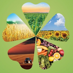 اليوم العلمي الأول حول الزراعة المستدامة والأمن الغذائي‎‎
