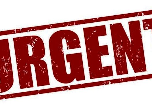 Appel à candidature pour les postes vacants au sein de l’Union Africaine