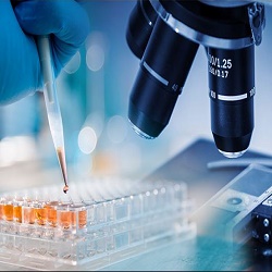 Candidacy for scientific research projects Candidacy for scientific research projects