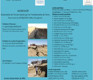 Workshop on landslides