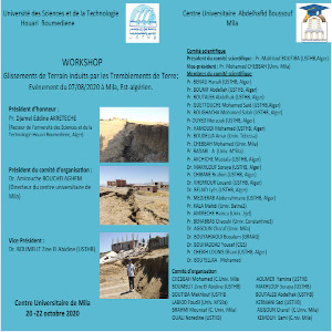 Workshop on landslides