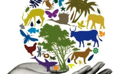 ملتقى وطني :” التنوع الحيوي للنبات والحيوان المحيط والصحة”