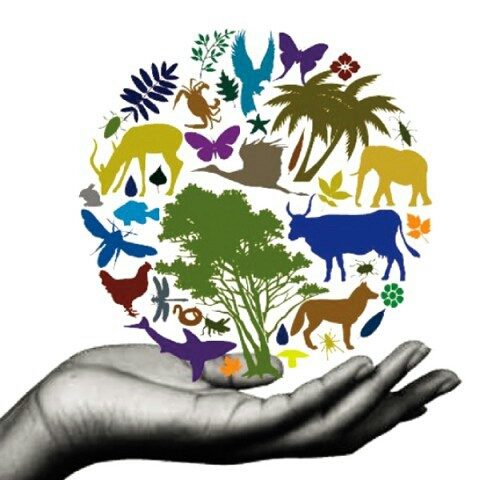 ملتقى وطني :” التنوع الحيوي للنبات والحيوان المحيط والصحة”