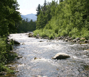 Cours en ligne en droit international de l’eau douce