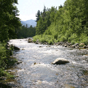 Cours en ligne en droit international de l’eau douce